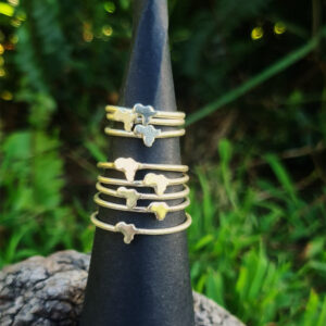 Nettis Silver Ring Africa